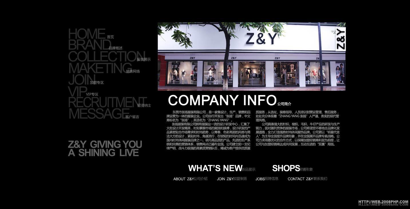 范冰冰代言的超酷黑色字体设计张扬服饰网站截