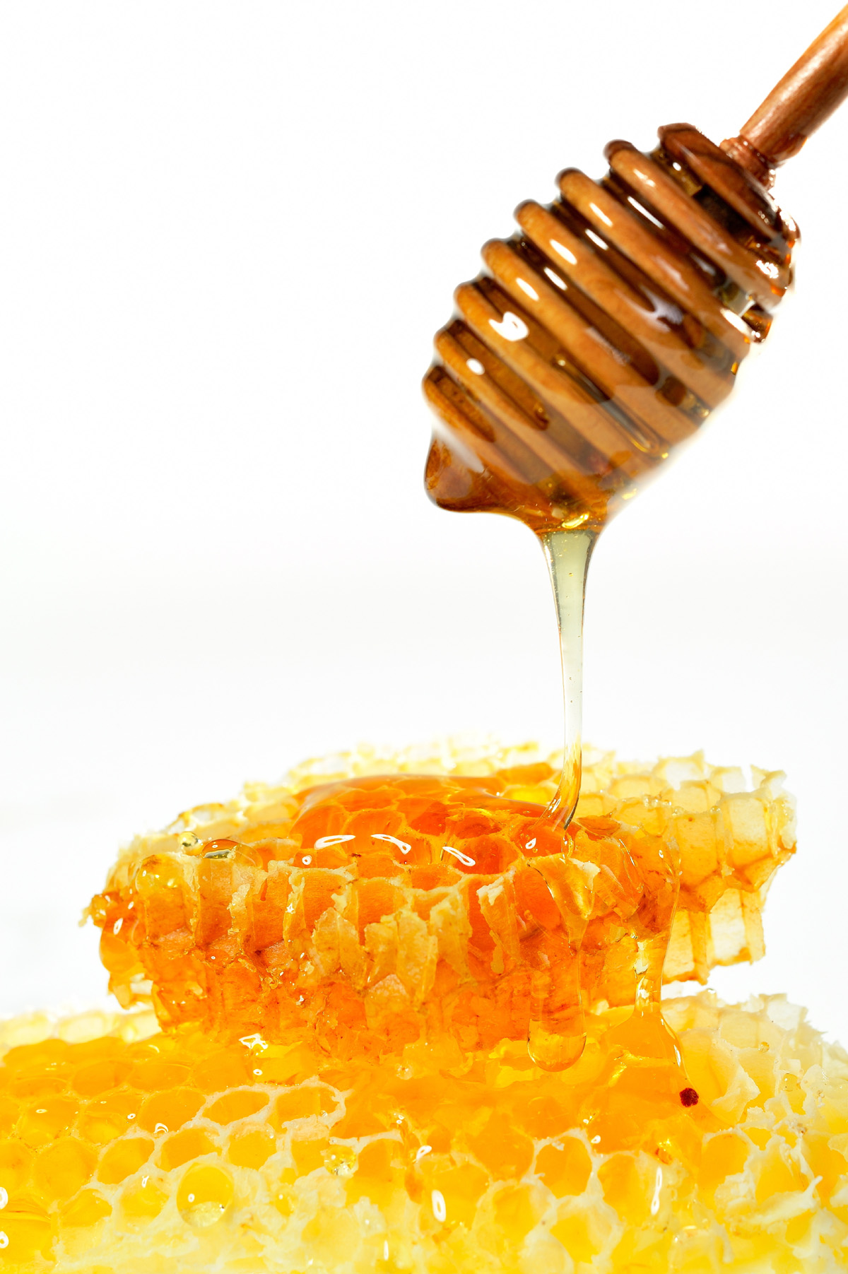 〓 高清晰蜂蜜蜂巢图蜂浆片壁纸:当前为类型:欧