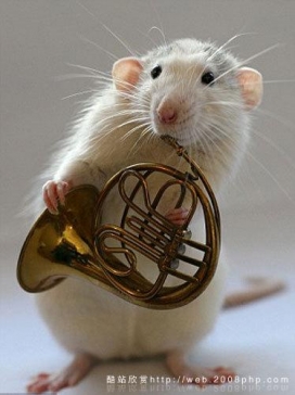 分享德国平面数码创意大师：可爱小白老鼠与西洋乐器完美音乐相结合