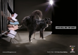 欧美动物奥运会明星展示宣传广告