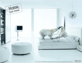 国外Cool-Home-2-o温馨动物家庭平面宣传广告