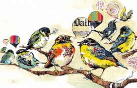 西方BIRD ILLUSTRATIONS!鸟类手绘插画