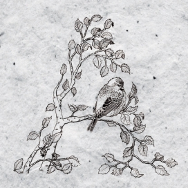冰岛雷克雅未克创意师Stella Björg-植物花纹字母组合