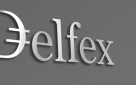 Delfex企业品牌身份-捷克兹林Jan Zabransky设计师作品