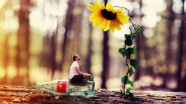 坐在可口可乐瓶上赏向日葵花的男人