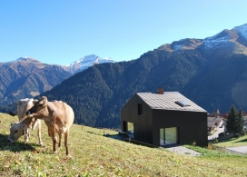 阿尔卑斯山陡峭斜坡Holzkristal房屋-瑞士建筑师Hurst Song Architekten建筑作品