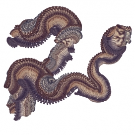 224-萨拉布莱克海洋龙生物-美国纽约Joshua Davis插画师作品