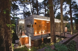 树木建造的房子-Paz房屋建筑机构作品,远离城市环境，毫不夸张带来自然的室内气息