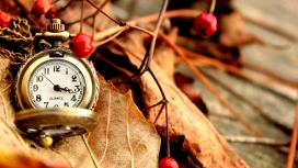 高清晰枯叶旁的美丽老式手表怀表壁纸