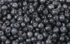 高清晰黑色的蓝莓水果壁纸