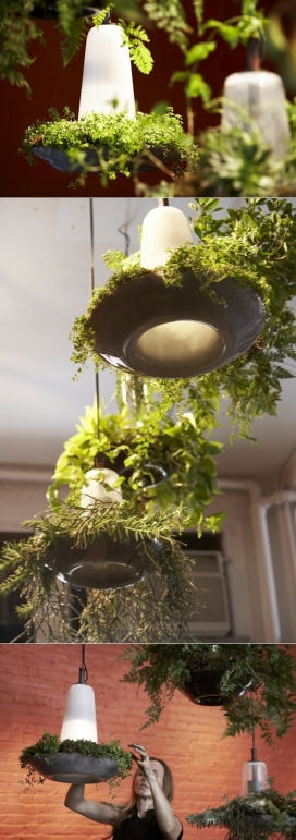绿色园艺植物吊灯照明