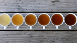 六杯不同种类的茶