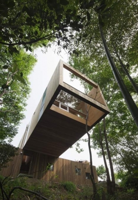 悬臂式木质建筑-离地10米以上的森林房子
