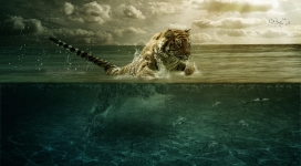 水中捕鱼的老虎