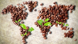 用咖啡豆拼成的世界地图