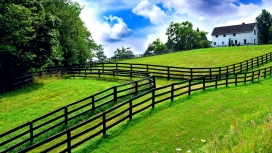夏畈-带木质围栏的草坪