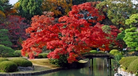 秋天的日本