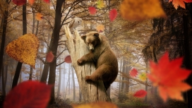 爬树的可爱小熊