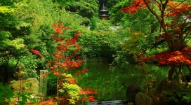 放生塘-日本京都花园风景壁纸