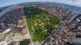 纽约中央公园俯拍壁纸
