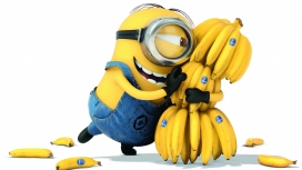 香蕉的爱情