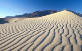 白色波浪形的沙漠沙丘壁纸