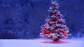 雪地中漂亮的紫色荧光圣诞树