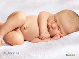 脐带脐血干细胞-ReeLabs婴儿宝宝平面广告