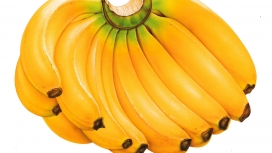 一大串黄色香蕉水果壁纸