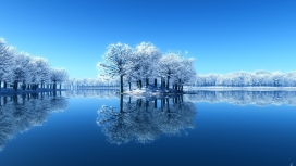 冬季蓝湖岛白色雪树林