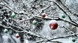 雪树圣诞球