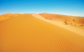 阳光明媚的沙漠