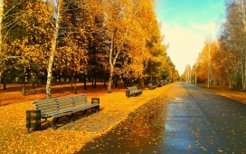 秋梦境-秋天马路旁的长椅