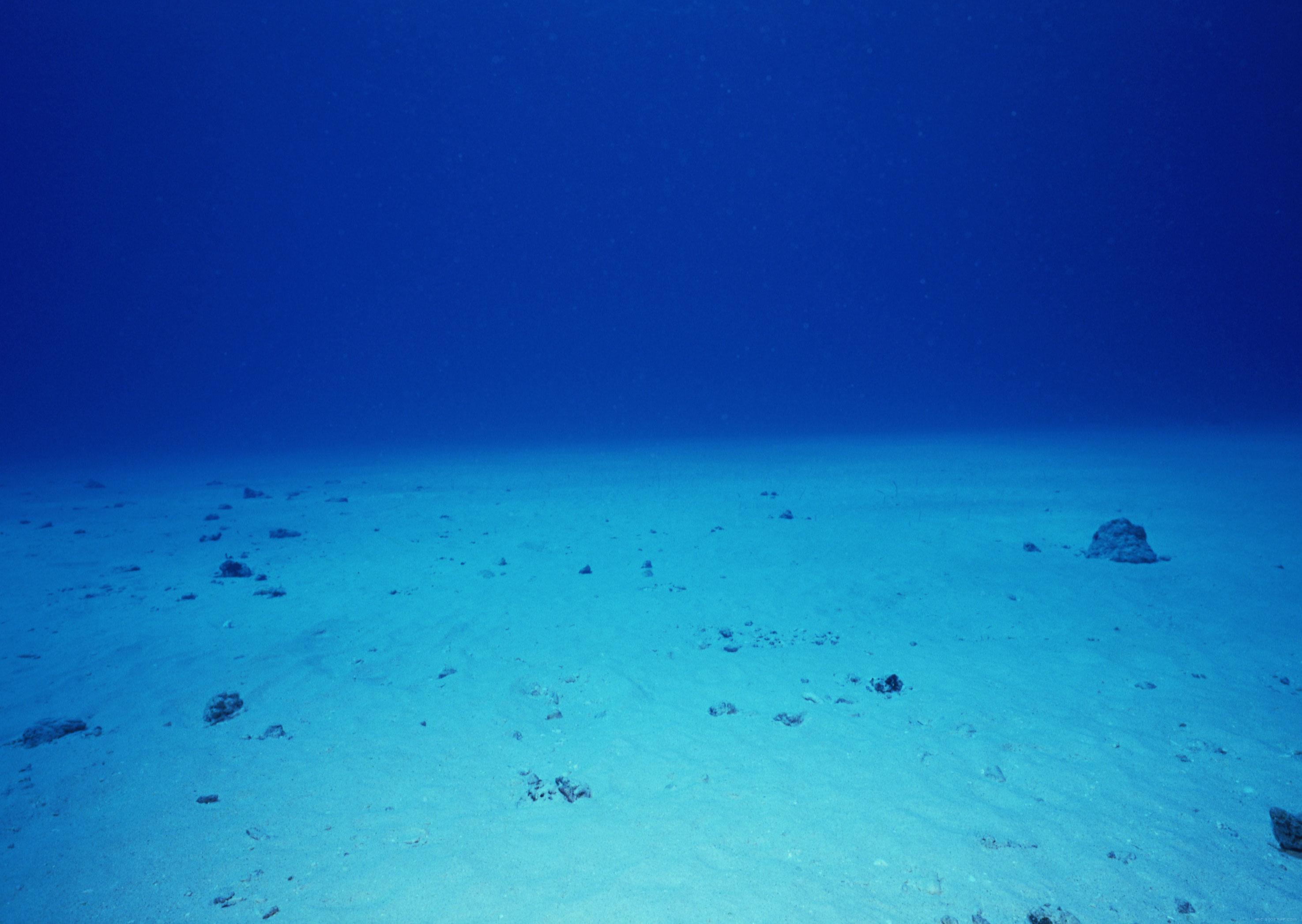 深海高清大图