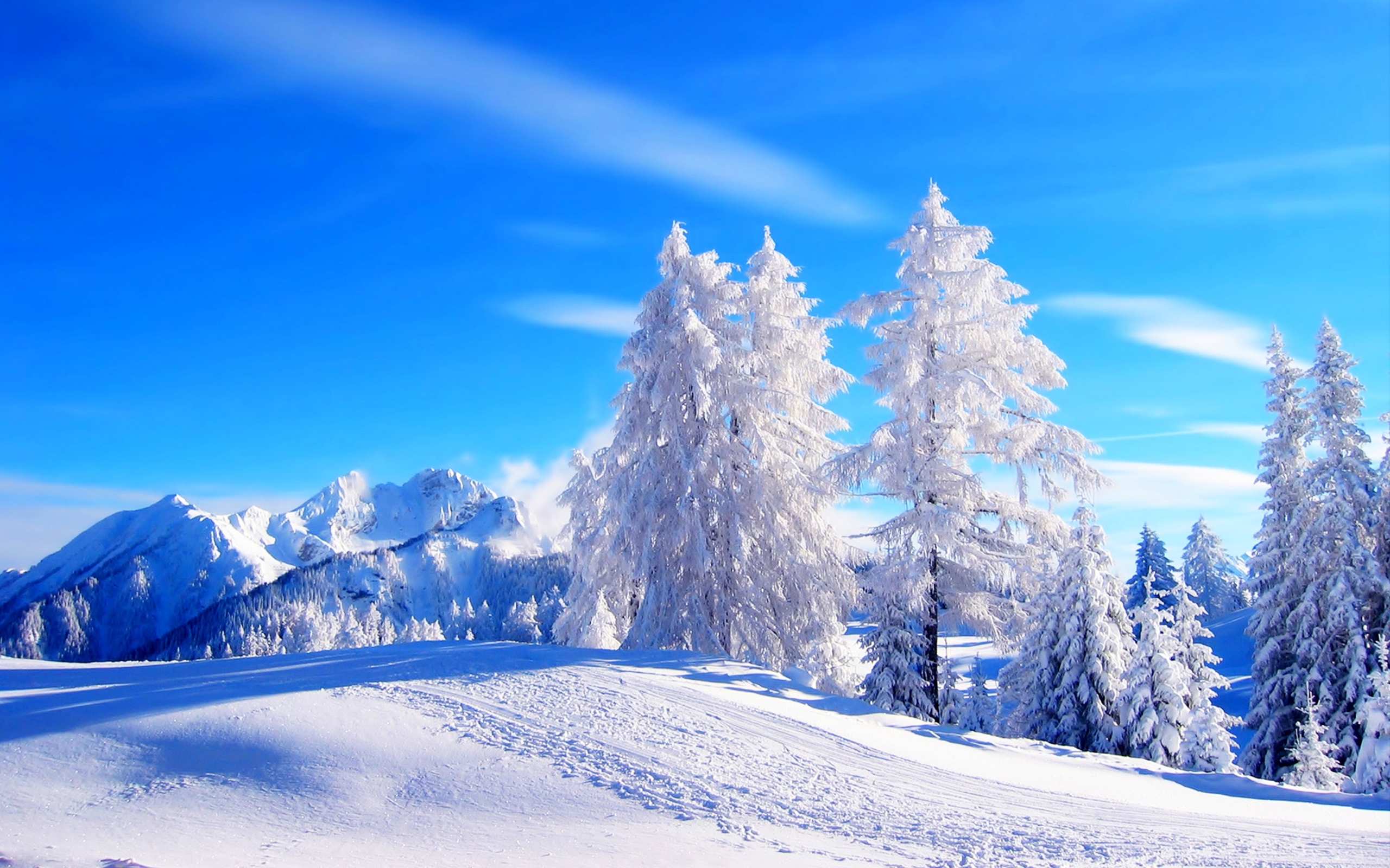 高清晰2015最美蓝白冬季雪景自然桌面壁纸下