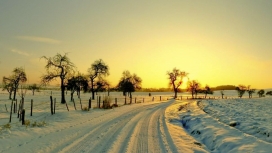冬季太阳树雪道路