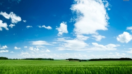草绿色的麦田天空
