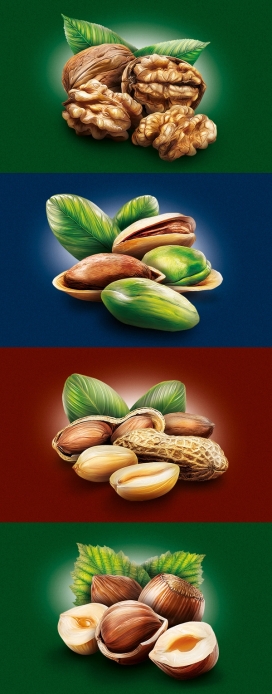 Nuts坚果类插画设计