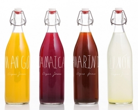 缤纷色彩-果汁饮料包装设计