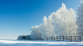 雪树栏