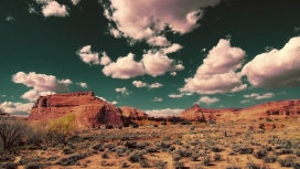 蓝天白天下的沙漠云岩植物