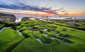 绿色海滩沼泽“小岛”