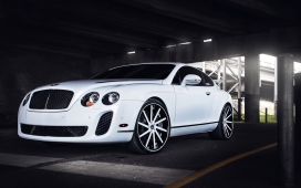 高清晰白色Bentley宾利汽车壁纸