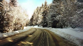 白雪皑皑的森林道路