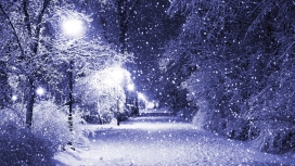 高清晰冬季公园的夜景壁纸