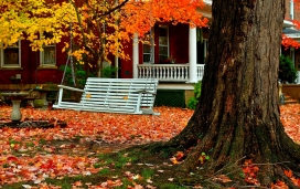 高清晰秋季森林公园大树长椅自然美景壁纸下载