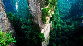 武陵源-绿色峭壁崖