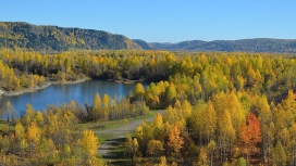 秋天的白桦林湖
