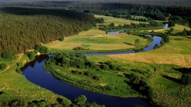 立陶宛蛇形林河草甸