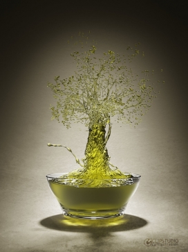 Olive-飞溅的橄榄树